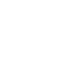 Salesforce Optimization Icon