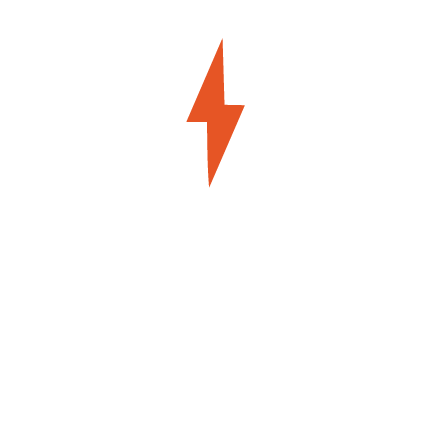 Project Lead